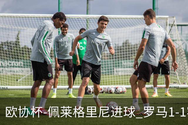 欧协杯-佩莱格里尼进球 罗马1-1客平莱斯特城